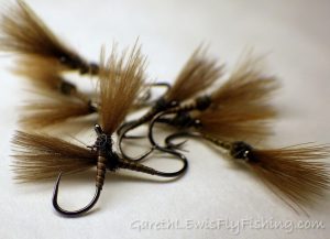 Read more about the article Monnow Rivers Association – Auction 2016
