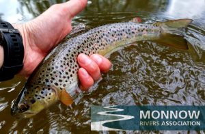 Read more about the article Monnow Rivers Association – Auction 2020
