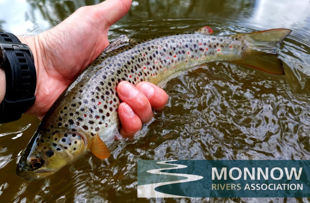 You are currently viewing Monnow Rivers Association – Auction 2022