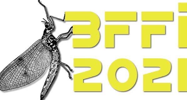 You are currently viewing BFFI 2021 Announced