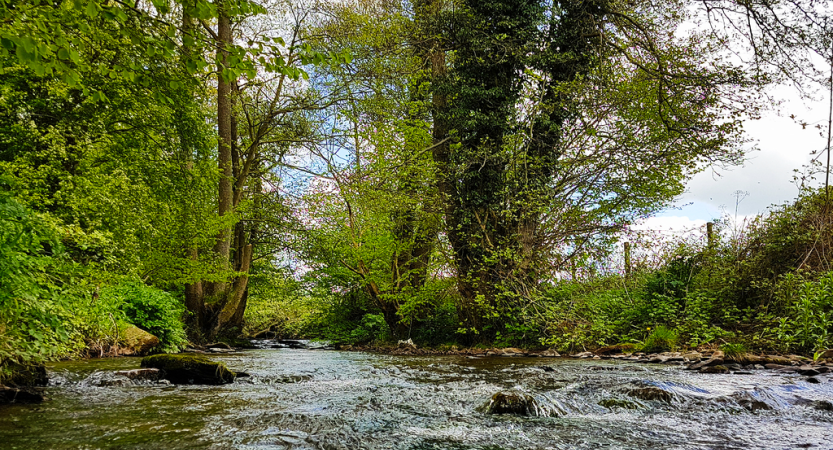 Read more about the article Keeping Things Simple – A Guide to Fishing Small Streams (Fishing in Wales Blog – September 2020)