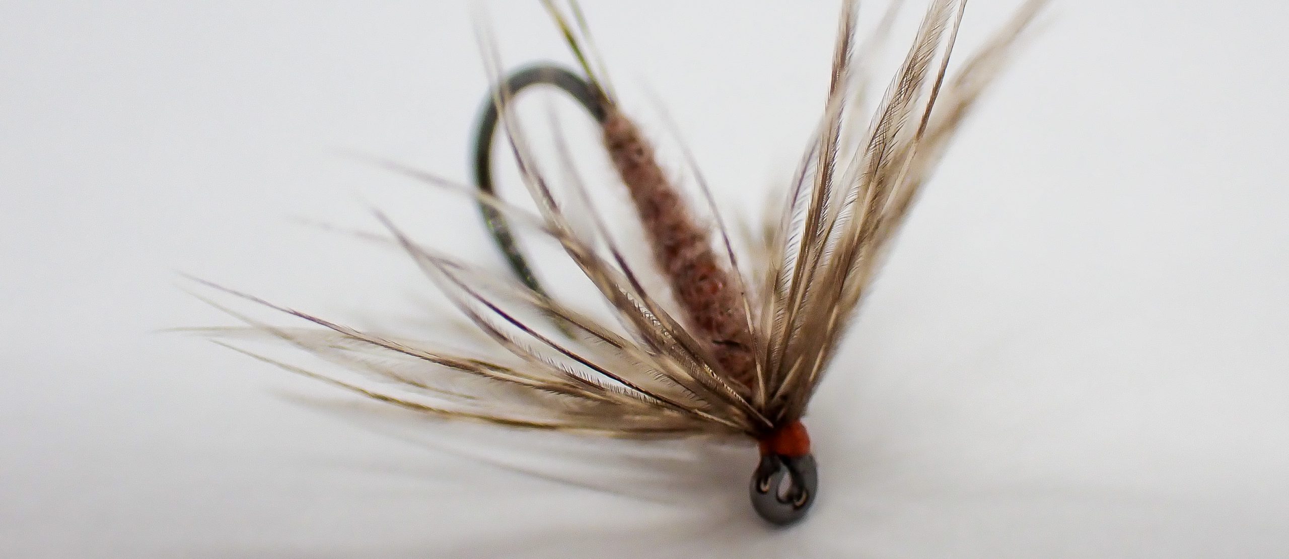Read more about the article Curves and Contours with Kapok and Soft-Hackles