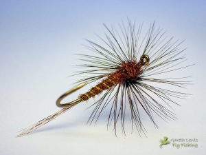 Read more about the article Large Dark Olive (Baetis rhodani) Subimago/Dun Paradun