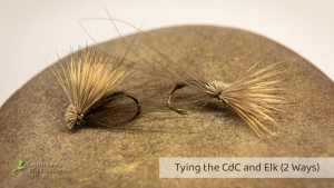 Read more about the article Tying the CdC & Elk (2 Ways)