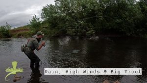 Read more about the article Rain, High Winds & Big Trout on Dry Flies | A Fly Fishing Short