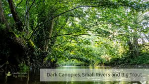 Read more about the article Dark Canopies, Small Rivers and Big Trout | A Fly Fishing Short