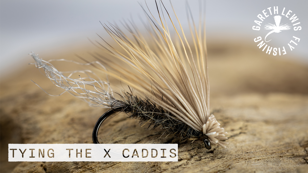 Read more about the article Tying the X Caddis