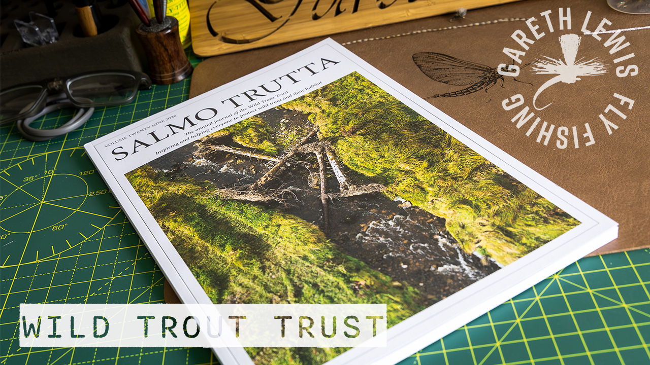 Read more about the article Wild Trout Trust – Salmo Trutta – Dry Fly on the Monnow