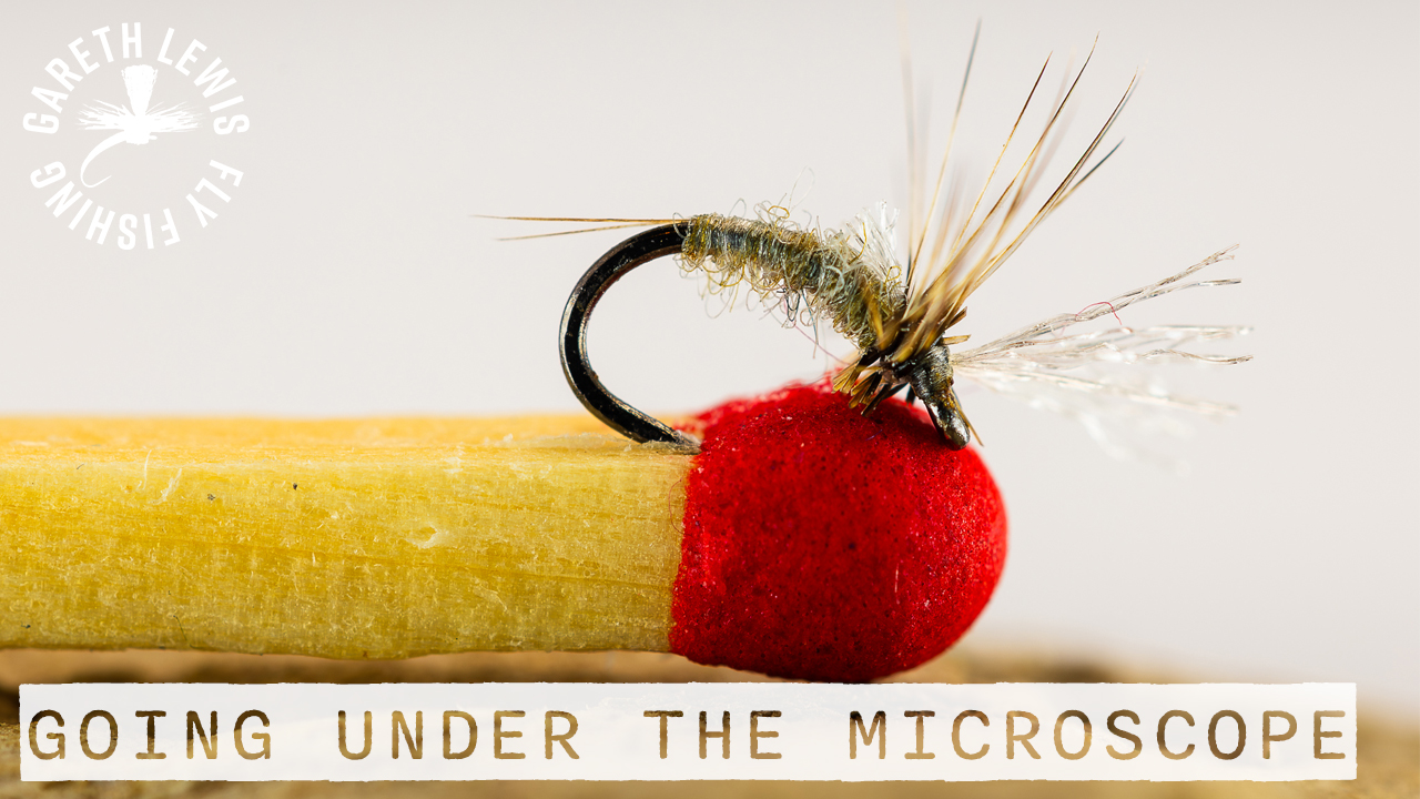 You are currently viewing Micro Flies: Going Under the Microscope
